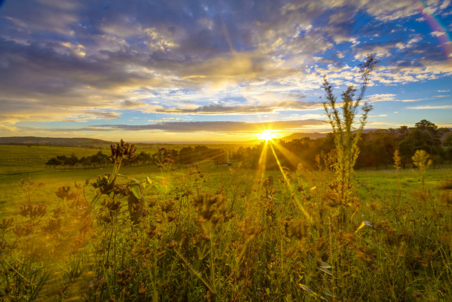 Обои картинки фото природа, восходы, закаты, простор