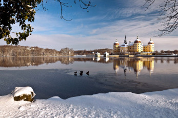 Картинка города замок+морицбург+ германия schloss moritzburg