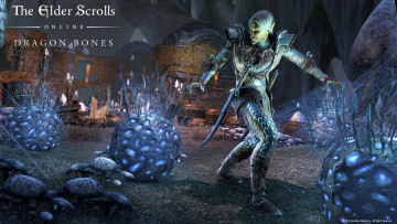 Картинка видео+игры the+elder+scrolls+online онлайн the elder scrolls online ролевая