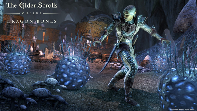 Обои картинки фото видео игры, the elder scrolls online, онлайн, the, elder, scrolls, online, ролевая