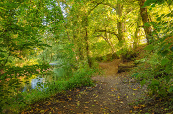 Картинка природа дороги простор