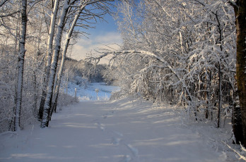 Картинка природа зима простор