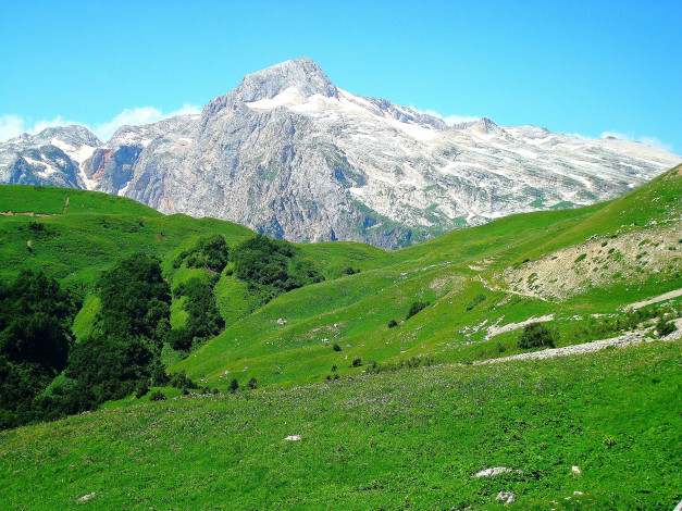 Обои картинки фото фишт, природа, горы, россия, кавказ, вершина, гора