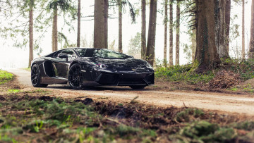 Картинка автомобили lamborghini aventador
