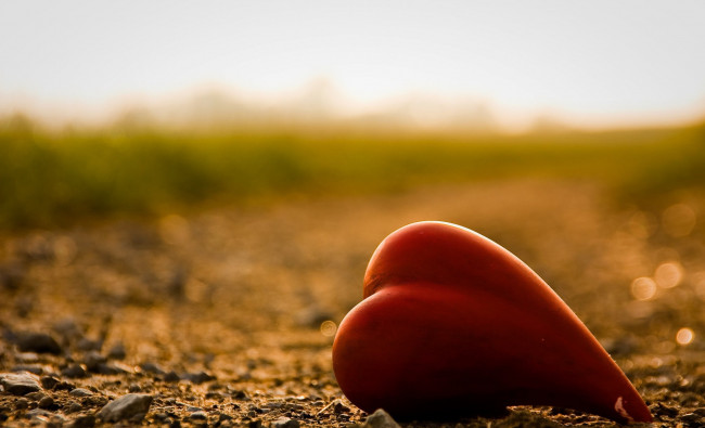 Обои картинки фото праздничные, день святого валентина,  сердечки,  любовь, сердечко, земля