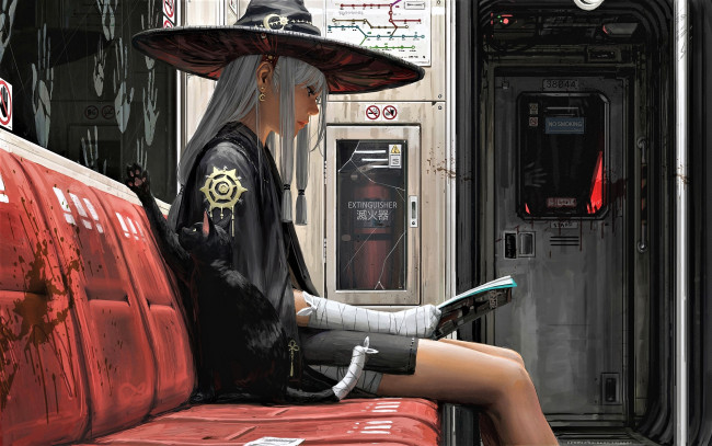 Обои картинки фото фэнтези, _guweiz, девушка, шляпа, кошка, журнал, вагон, ладони