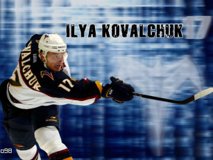 Картинка спорт nhl