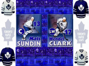 Картинка спорт nhl