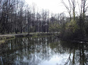 Картинка природа