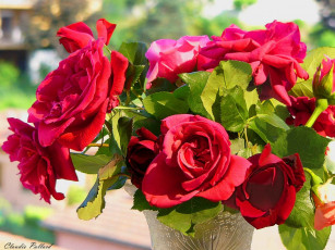 Картинка цветы розы