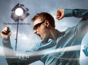 Картинка zen бренды