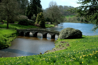 Картинка природа парк мост река деревья нарциссы