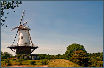 Картинка разное мельницы мельница деревья