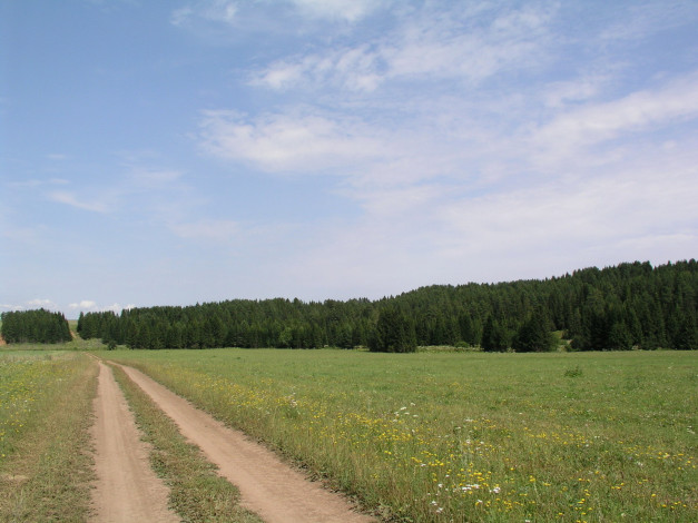 Обои картинки фото природа, дороги, поле, лес