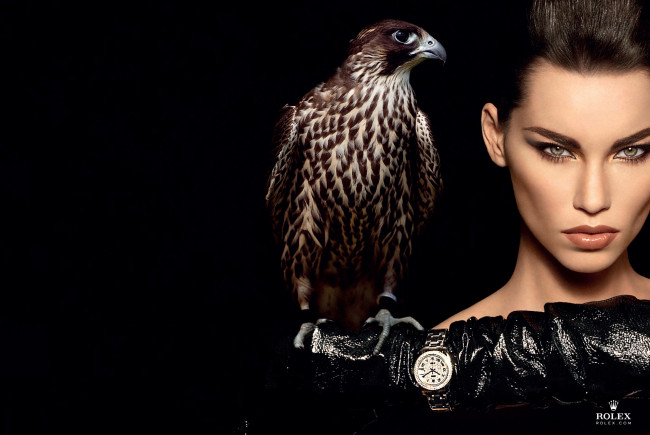 Обои картинки фото автор, fadil, berisha, бренды, rolex, сокол