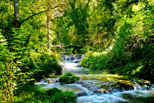 Обои картинки фото природа, реки, озера, река, лес, деревья