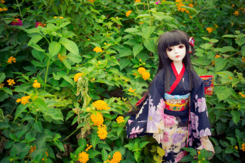 Картинка разное игрушки кукла