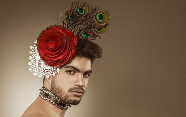 Обои картинки фото мужчины, - unsort, парень, взгляд, фон, перья, цветок