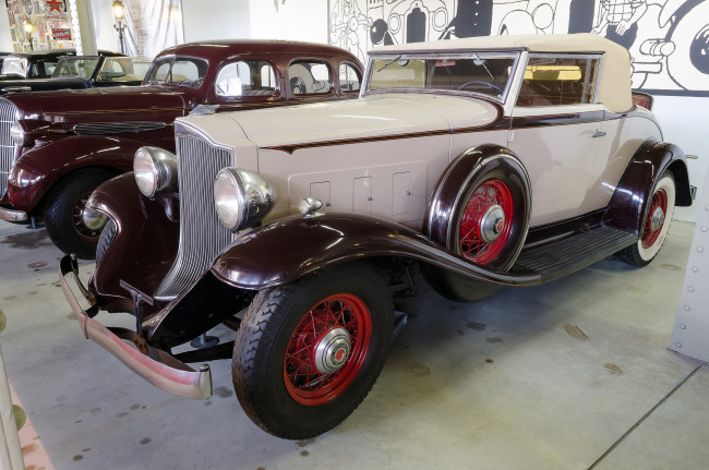 Обои картинки фото packard light eight 1932, автомобили, выставки и уличные фото, история, ретро, автошоу, выставка