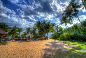 Картинка природа тропики пальмы пляж