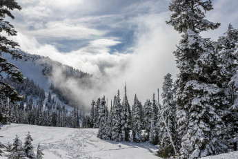 Картинка природа зима снег ели горы