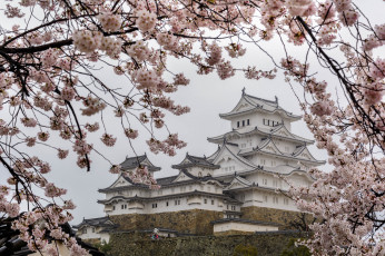 Картинка города -+дворцы +замки +крепости восток дворец сакура