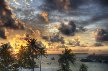 Картинка природа тропики зарево пальмы тучи острова океан