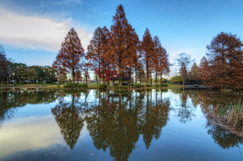 Картинка природа реки озера река деревья