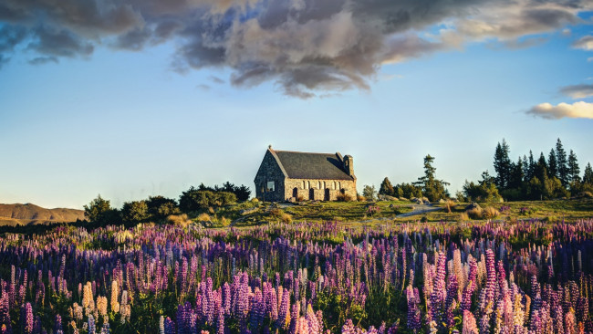 Обои картинки фото города, - здания,  дома, небо, облака, холм, дом, цветы, вереск