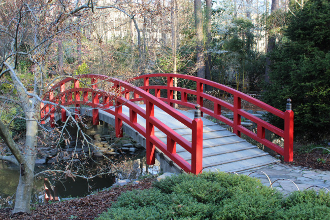 Обои картинки фото природа, дороги, река, лес, мостик