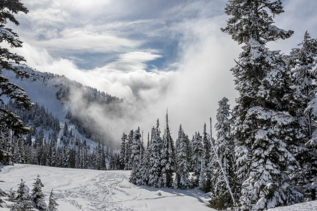 Обои картинки фото природа, зима, снег, ели, горы