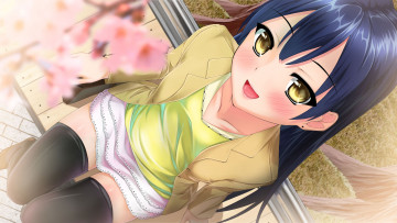 Картинка аниме love+live +school+idol+project sonoda umi
