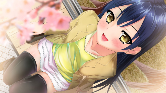 Обои картинки фото аниме, love live,  school idol project, sonoda, umi