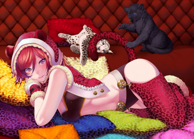 Обои картинки фото аниме, love live,  school idol project, inuzuka, bouru, love, live, nishikino, maki