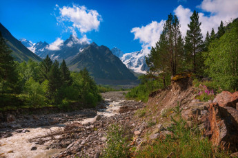 Картинка природа горы лес