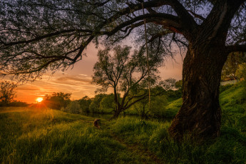 Картинка природа восходы закаты луга холмы вечер морозов юрий деревья речка