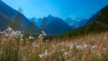 Картинка природа горы лес