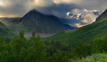 Картинка природа горы лес