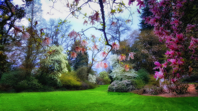 Обои картинки фото природа, парк, простор