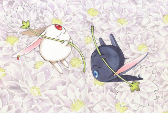 Картинка аниме tsubasa+reservoir+chronicles белый цветы черный существа