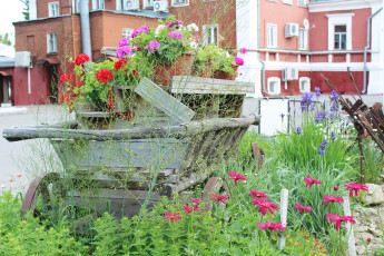 Картинка цветы разные+вместе телега трава