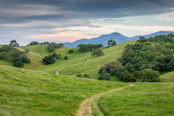 Картинка природа пейзажи простор