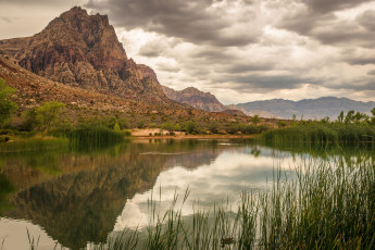 Картинка природа реки озера простор