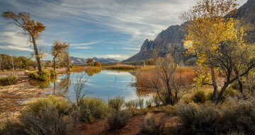 Картинка природа реки озера простор