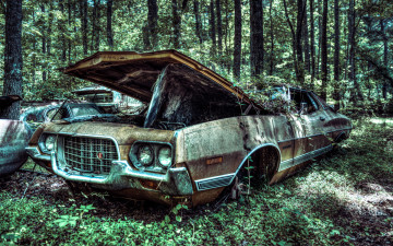 Картинка автомобили ford