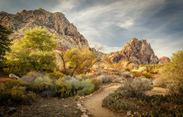 Картинка природа горы простор