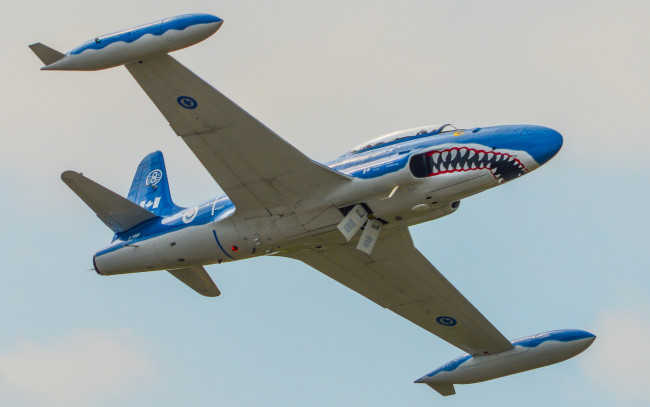 Обои картинки фото t-33 mako shark, авиация, боевые самолёты, ввс