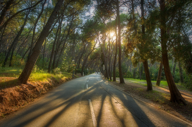 Обои картинки фото природа, дороги, простор