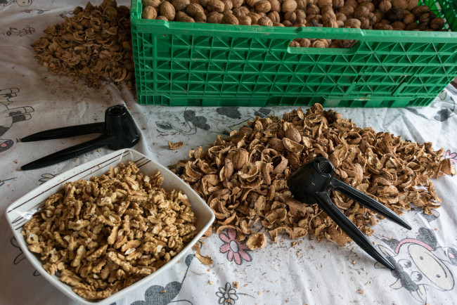 Обои картинки фото еда, орехи,  каштаны,  какао-бобы, снедь