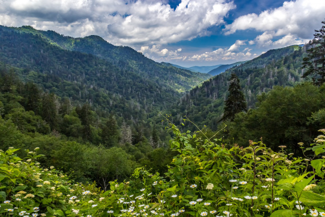 Обои картинки фото природа, горы, простор